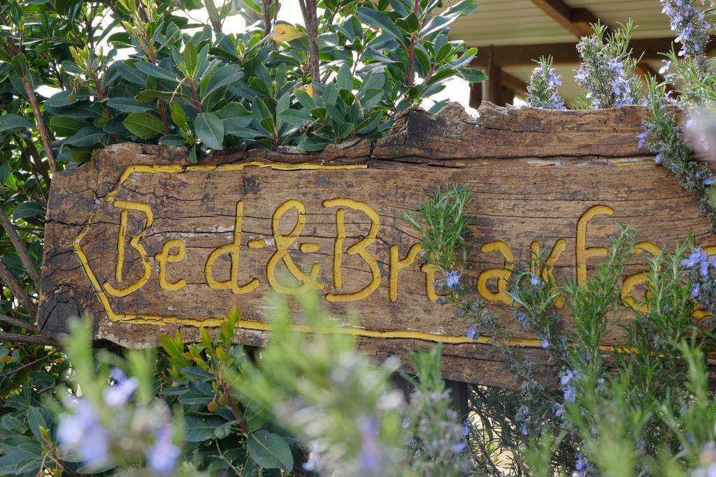 B&B Podere Ospedaletto Bolsena Extérieur photo